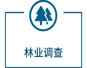 ���������Ӱ�����۱���